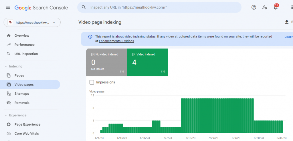 Video page indexing