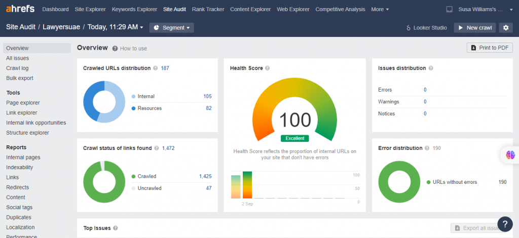 Ahrefs Report After Working