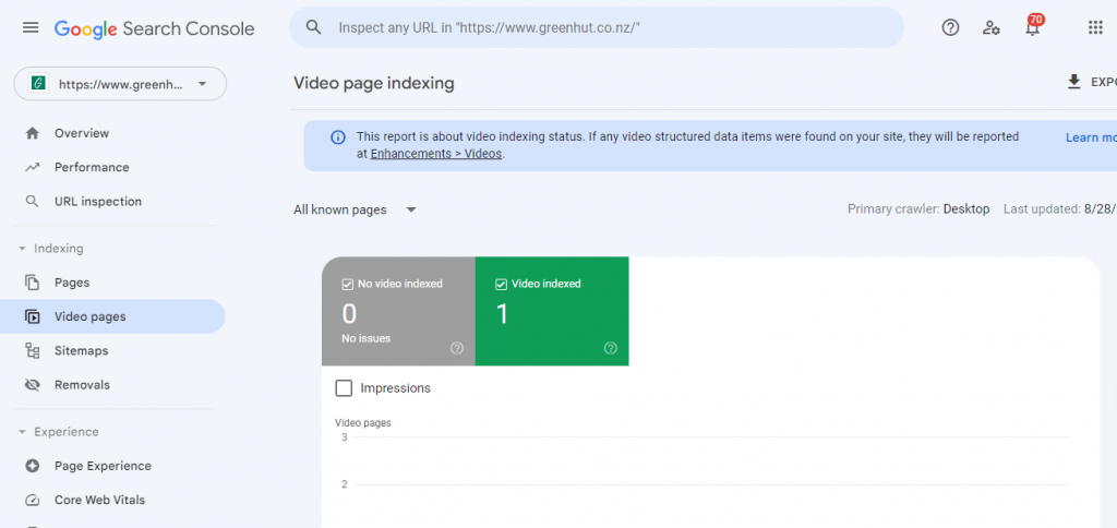 Page indexing issues