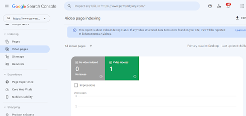 Video Page Indexing