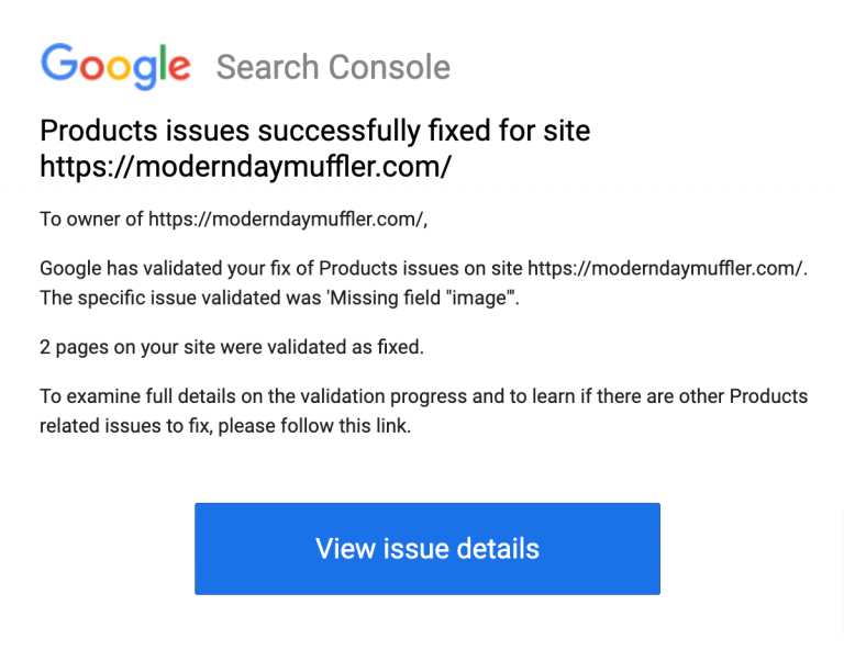 Google Search Console Successfully fix