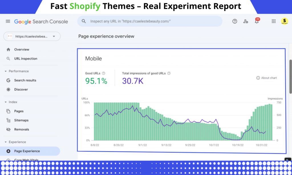 Fast Shopify Themes Real Experiment Report