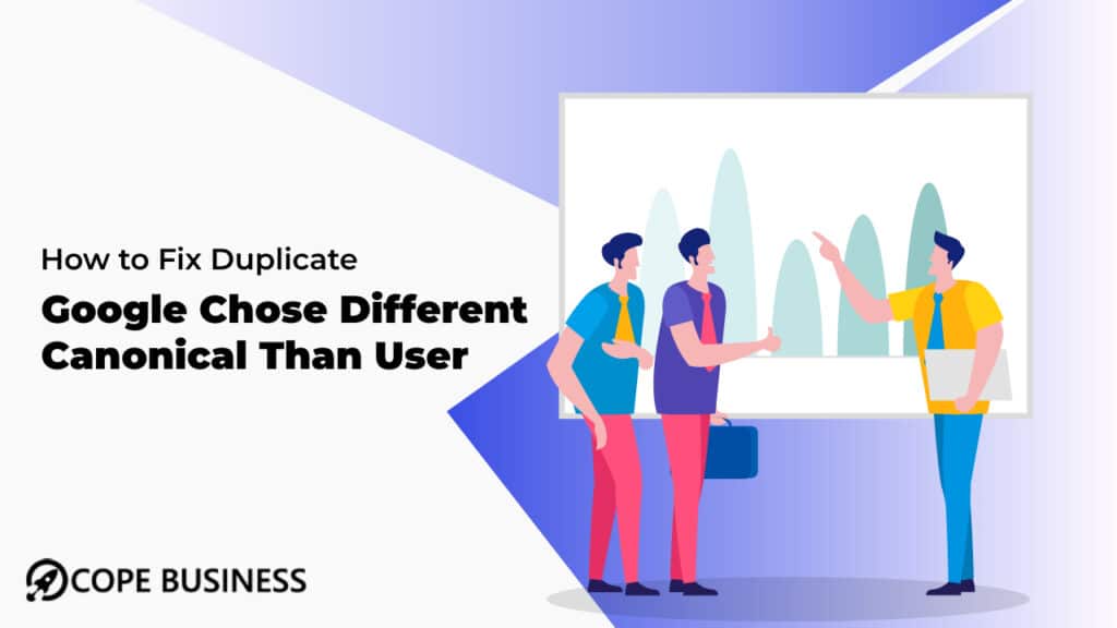 How to Fix Duplicate Google Chose Different Canonical Than User Issue