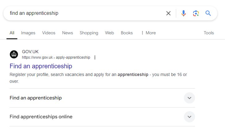 The Ultimate Guide to SERP Features: Elevate Your Digital Strategy 28 Find an Apprentices