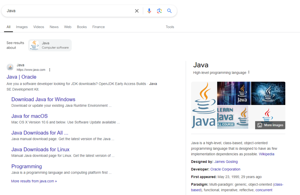 The Ultimate Guide to SERP Features: Elevate Your Digital Strategy 41 Java