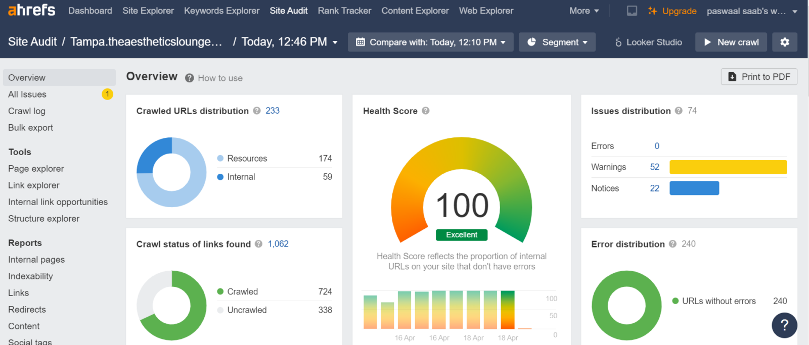 The Aesthetics Lounge and Spa Tampa 2 Ahrefs Site Audit overview showing a perfect Health Score of 100 for Tampa Aesthetics website, with 0 errors and 52 warnings.
