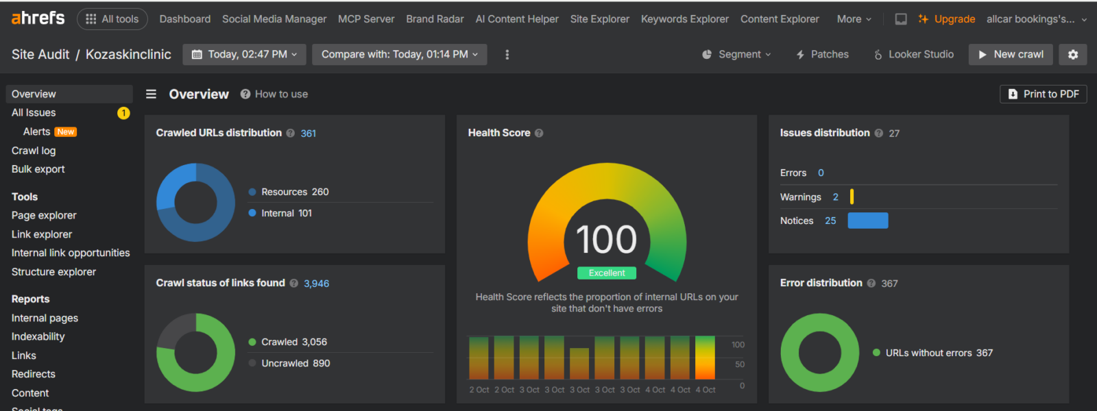 Koza skin clinic 2 Ahrefs Site Audit overview dashboard for Kozaskinclinic showing a perfect SEO health score of 100 with zero errors and 2 warnings.