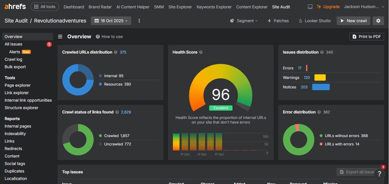 Revolution Adventures 1 Ahrefs Site Audit dashboard showing an 'Excellent' health score of 96 for the website Revolutionadventures.