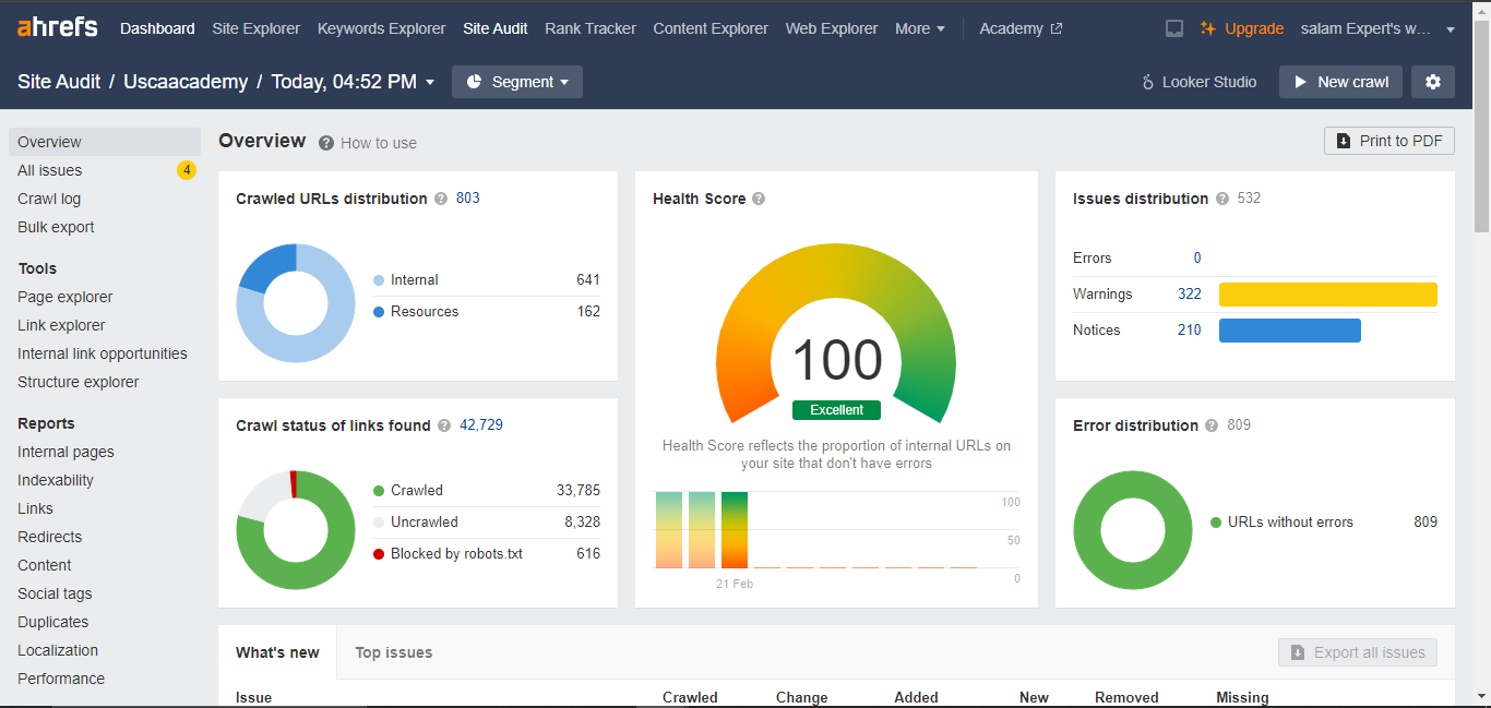 USCA Academy 2 Comprehensive SEO audit summary for Uscaacademy showing 100% health optimization and zero critical errors on Ahrefs.