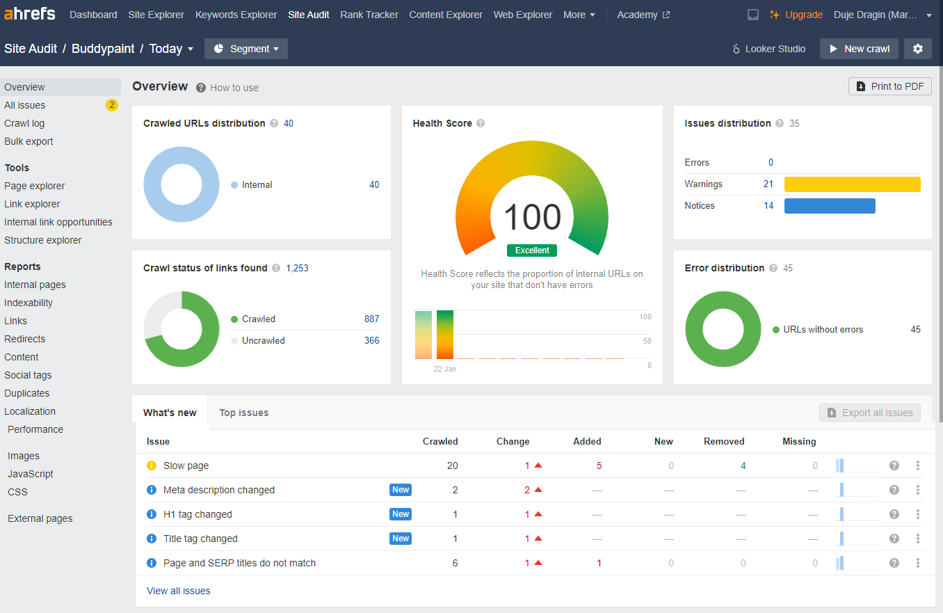 Buddypaint 2 Ahrefs audit for Buddypaint showing perfect 100 health score.