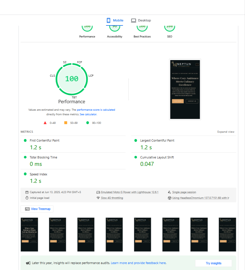Neptun 4 Optimized mobile performance for Neptun on Google PageSpeed Insights showing a perfect 100 score and fast loading times.