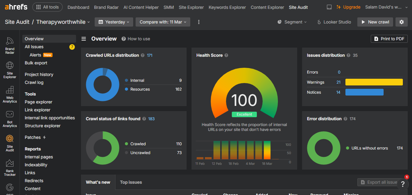 Therapy Worthwhile 2 Ahrefs site audit dashboard showing a 100 percent excellent health score.