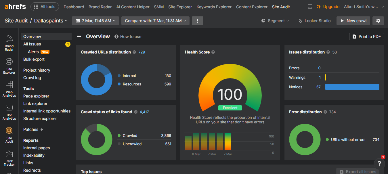 Dallas Paints 2 Ahrefs site audit showing 100 excellent health score for Dallas Paints.