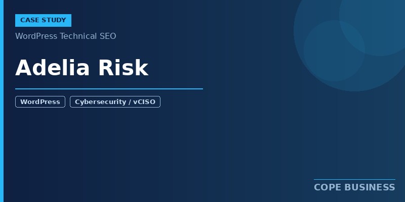 Case Studies 8 Adelia Risk — Cybersecurity Technical SEO Success