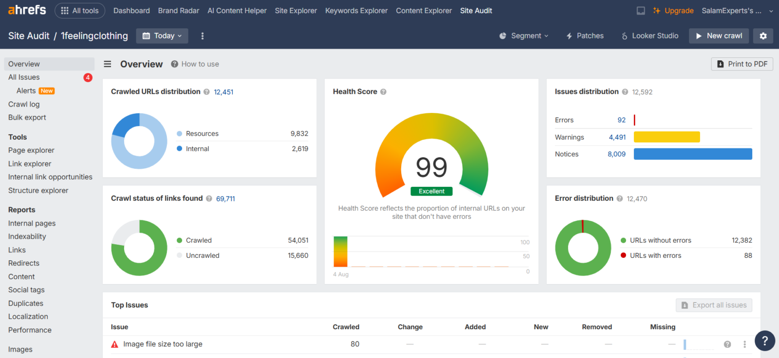 Ahrefs Site Audit overview for 1feelingclothing showing an excellent SEO health score of 99.