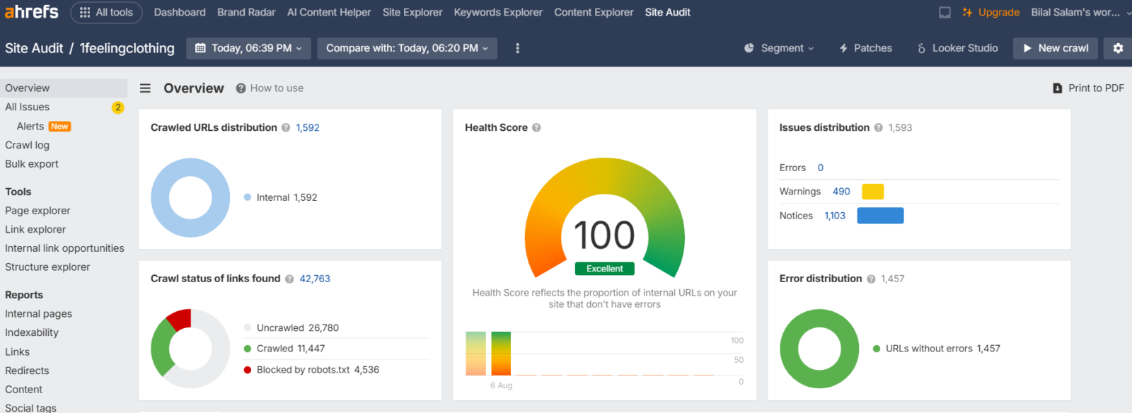 Ahrefs Site Audit overview for 1feelingclothing showing a perfect SEO health score of 100.