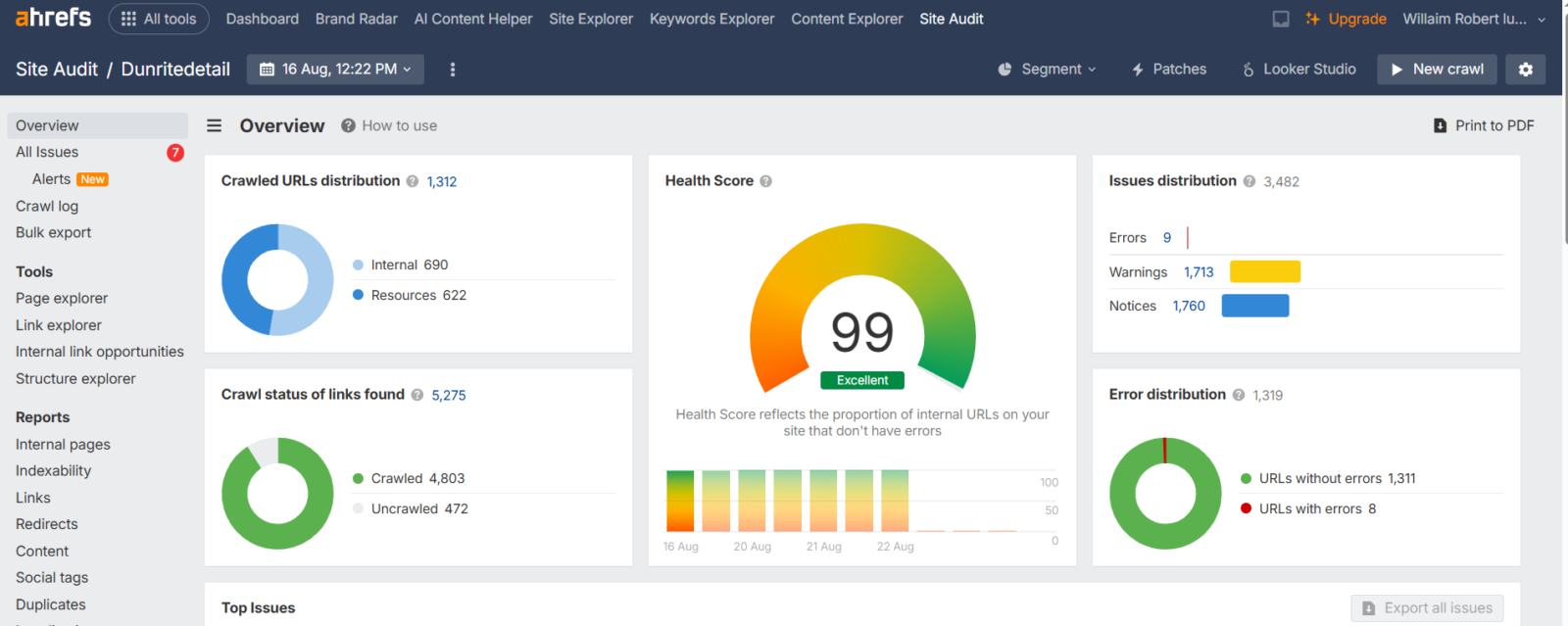 Ahrefs Site Audit overview for Dunritedetail showing an excellent SEO health score of 99.