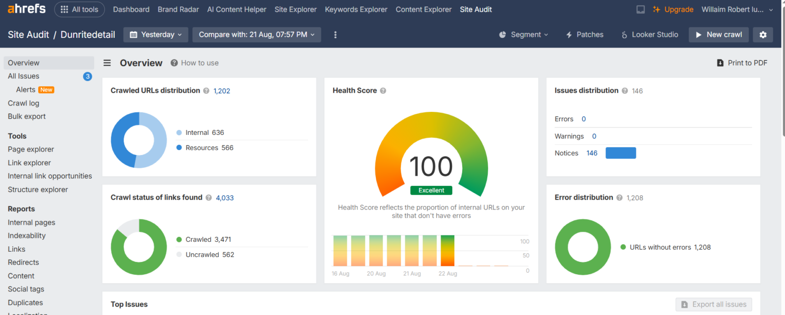 Ahrefs Site Audit overview for Dunritedetail showing a perfect SEO health score of 100.