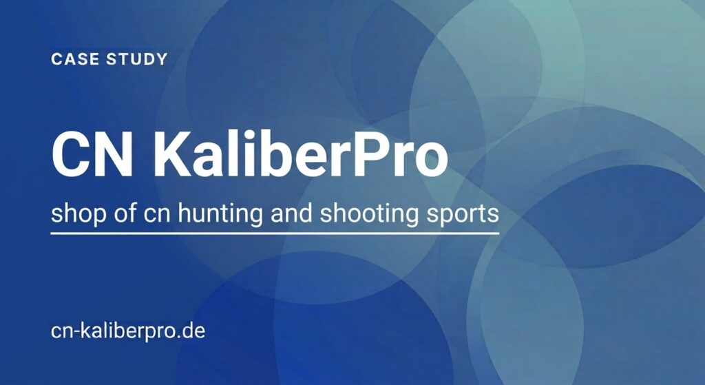 Technical SEO Company 11 cn kaliberpro case study