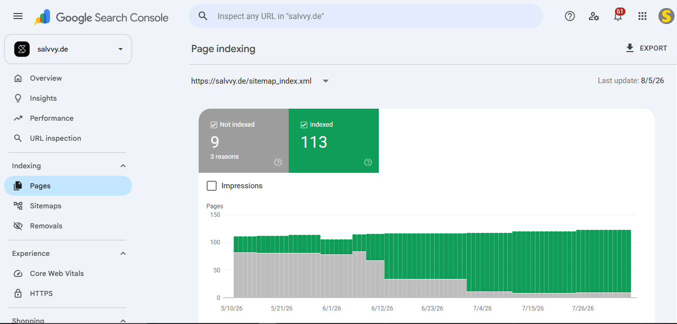 Salvvy 2 Google Search Console Page Indexing report for salvvy.de after technical SEO fixes, showing indexed URLs increased to 113.