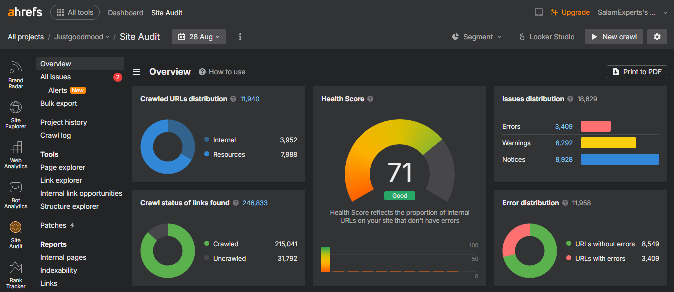 JUSTGOODMOOD 1 Ahrefs Site Audit dashboard for justgoodmood.com before fixing.